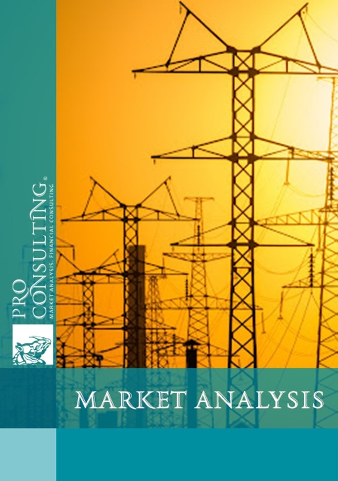 Analytical note on the electricity market in Ukraine. 2024 year